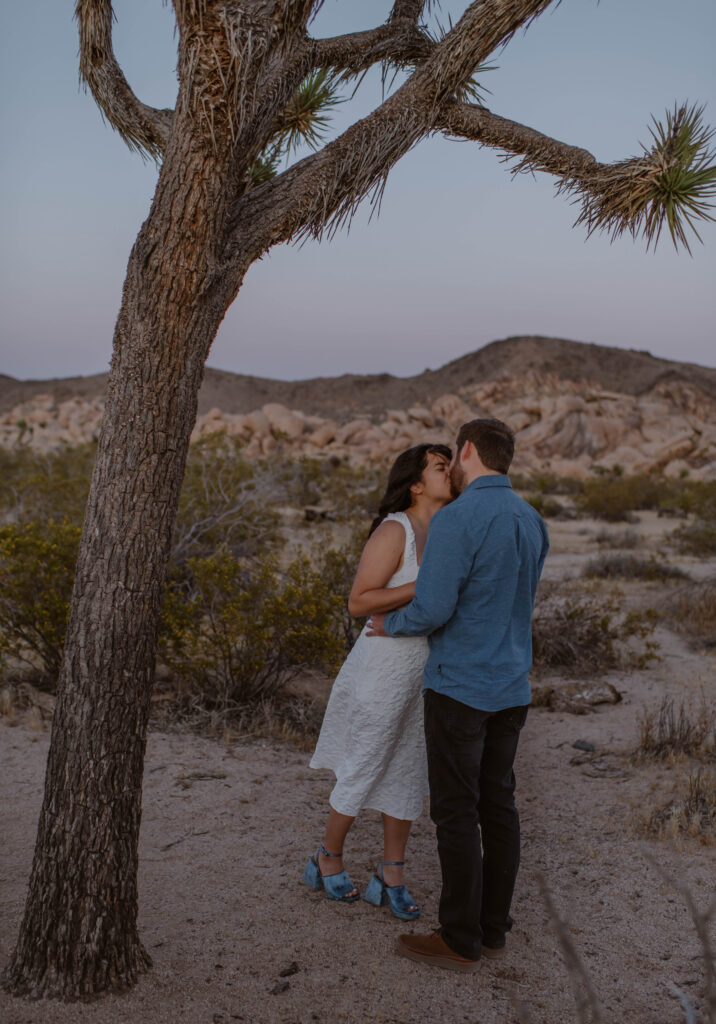 “Couple exchanging vows at sunset in Joshua Tree National Park”
“Intimate desert vow reading at golden hour”